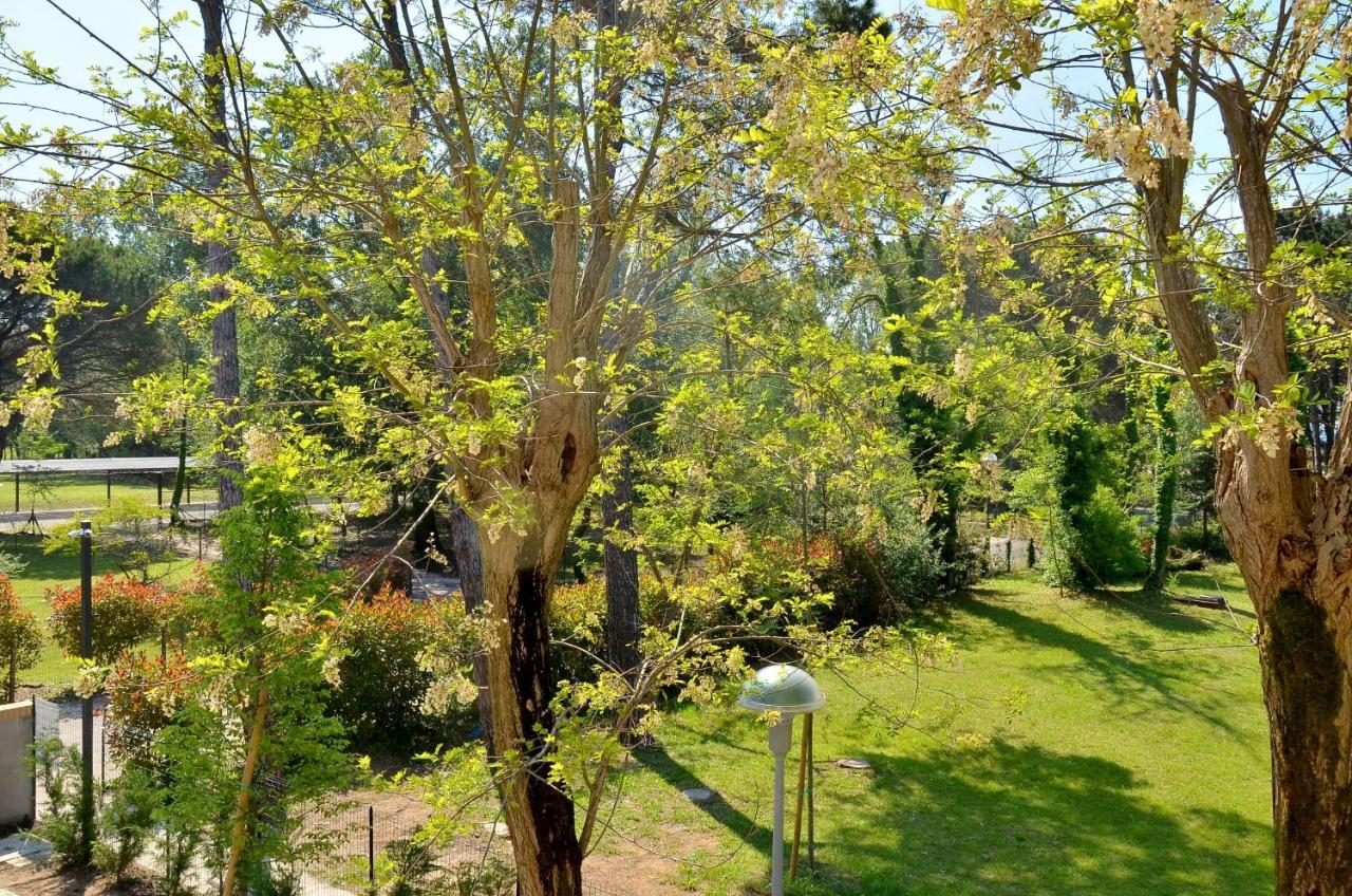 Villa Tamerici 比比翁 外观 照片