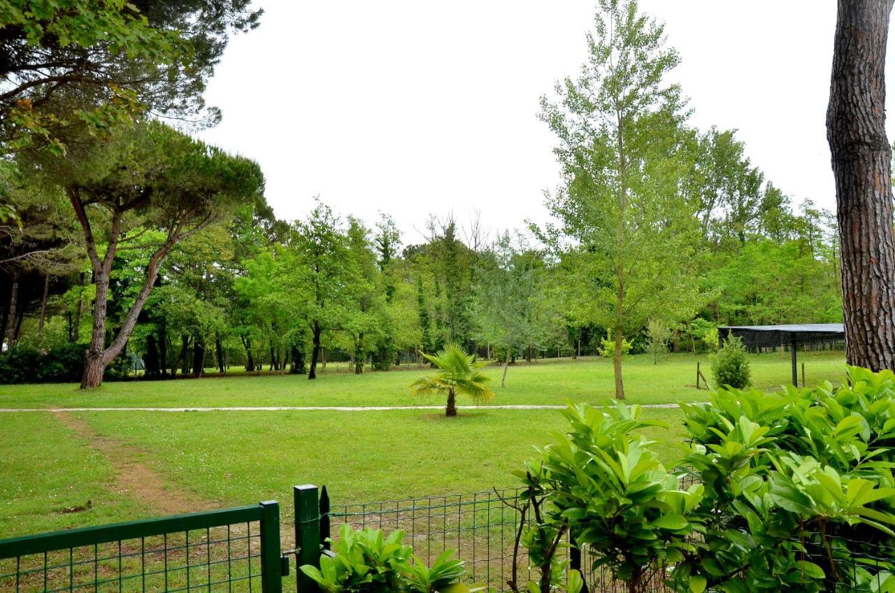 Villa Tamerici 比比翁 外观 照片